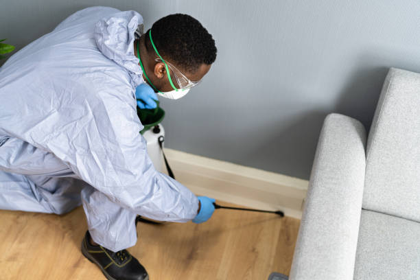 Emergency Pest Control Services in Southside Place, TX